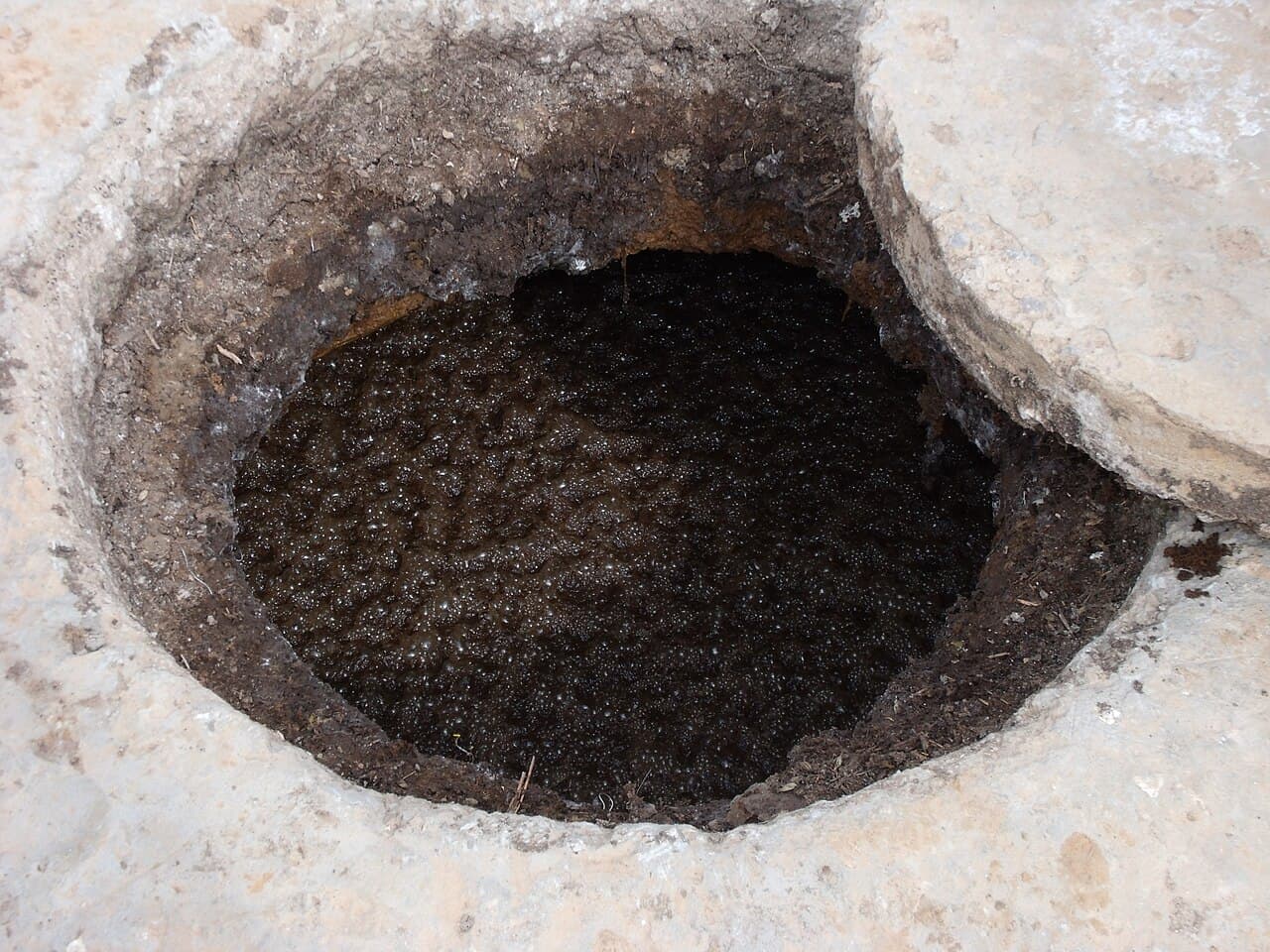 Anaerobic Digester Certification Launch, India — photo 3